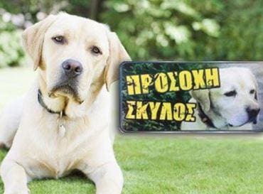 Σήμανση Σκύλων