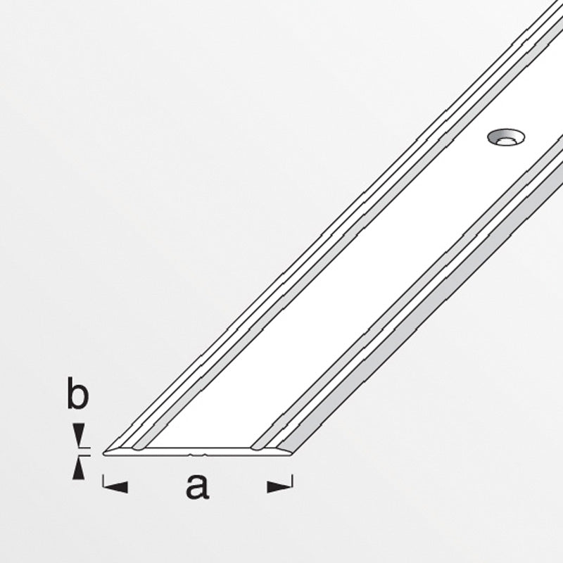 Προφίλ Επίπεδο Ένωσης Δαπέδων Βιδωτό Ανοδειωμένο Αλουμίνιο 1m Ασημί