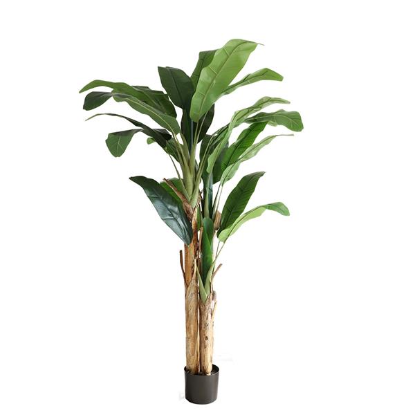 Τεχνητό Φυτό Banana NP710 205cm