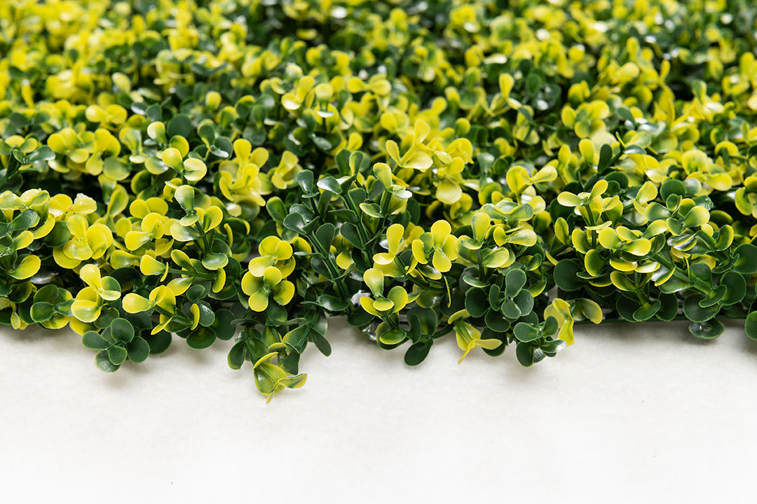 Κάθετος Διακοσμητικός Κήπος Φυλλωσιά Oslo MZ188003A 50x50cm