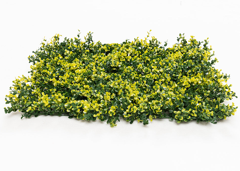 Κάθετος Διακοσμητικός Κήπος Φυλλωσιά Oslo MZ188003A 50x50cm