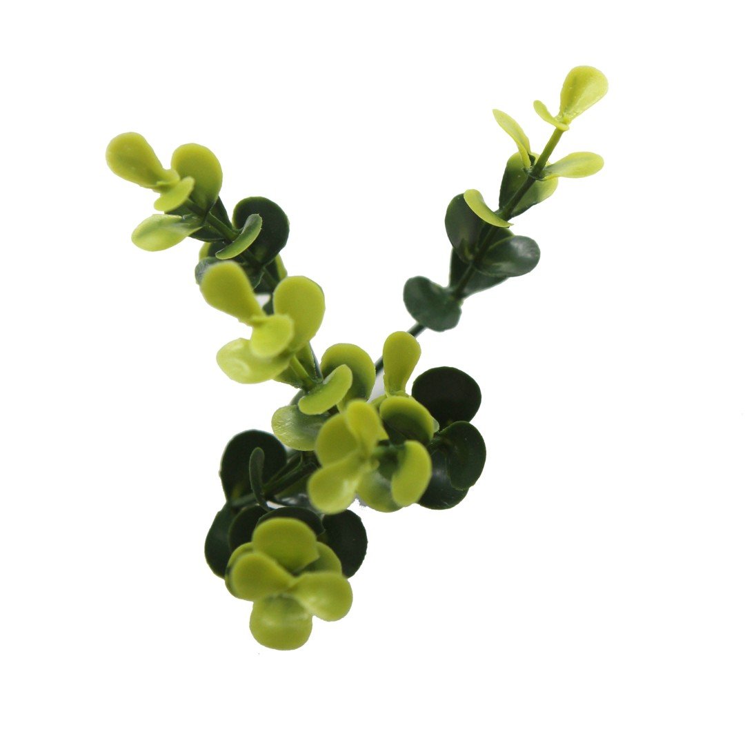 Κάθετος Διακοσμητικός Κήπος Φυλλωσιά Buxus Berlin A003 50x50cm