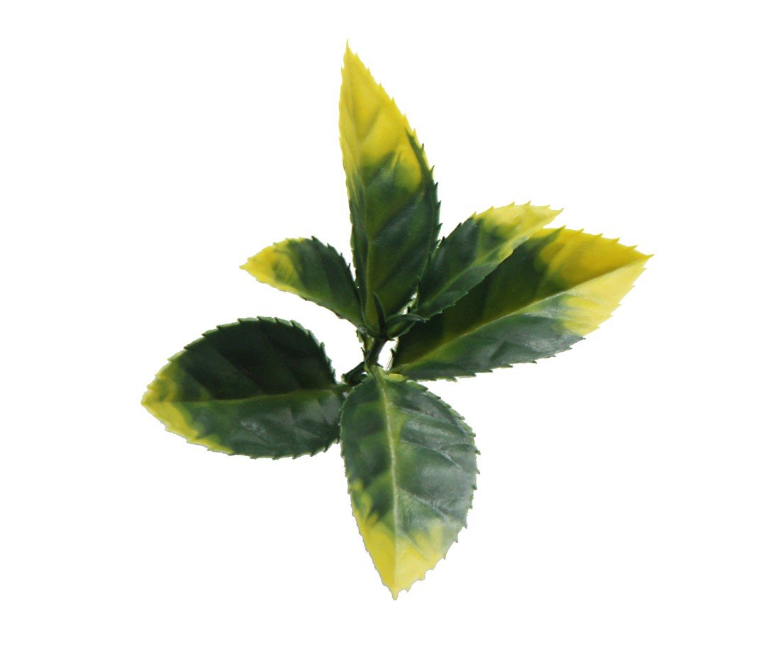 Κάθετος Διακοσμητικός Κήπος Φυλλωσιά Photinia Berlin A017 50x50cm