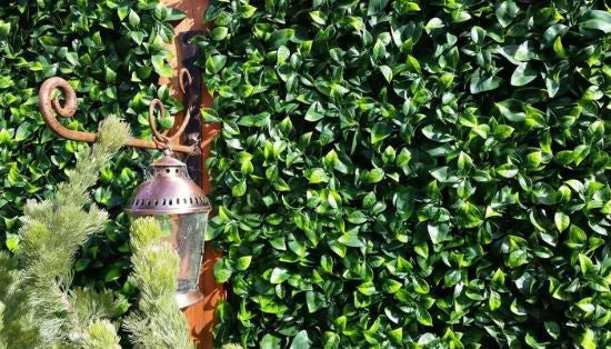 Κάθετος Διακοσμητικός Κήπος Φυλλωσιά Photinia Berlin A017 50x50cm