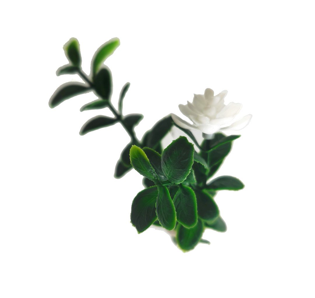 Κάθετος Διακοσμητικός Κήπος Φυλλωσιά Gentle Jungle Porto A040 50x50cm