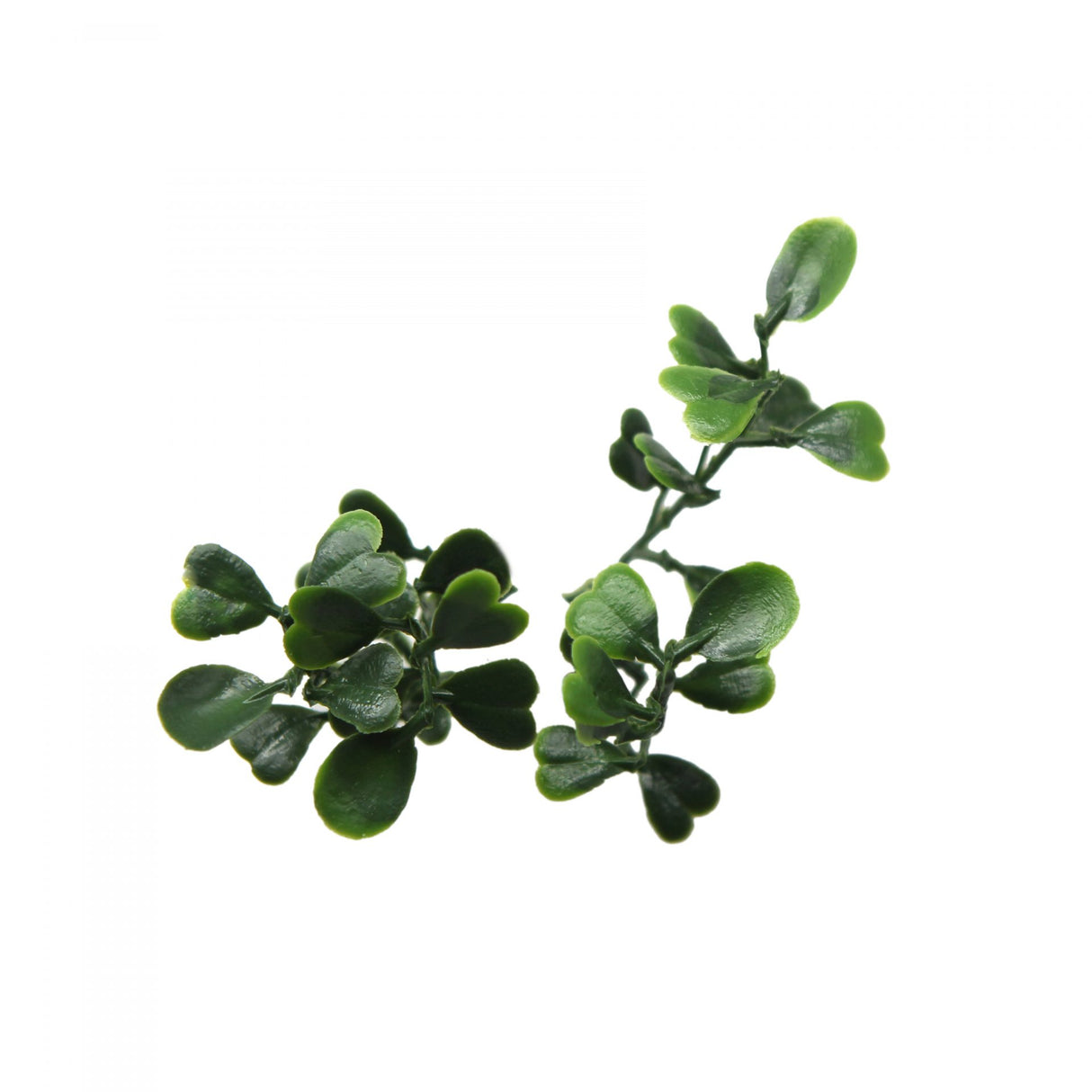 Κάθετος Διακοσμητικός Κήπος Φυλλωσιά Boxwood Berlin A146 50x50cm