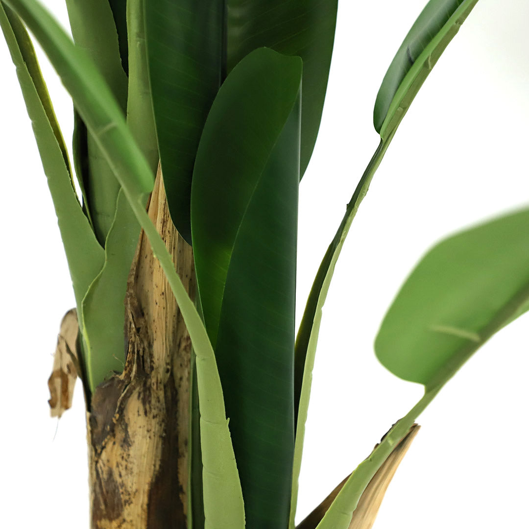 Τεχνητό Φυτό Banana NP710 205cm