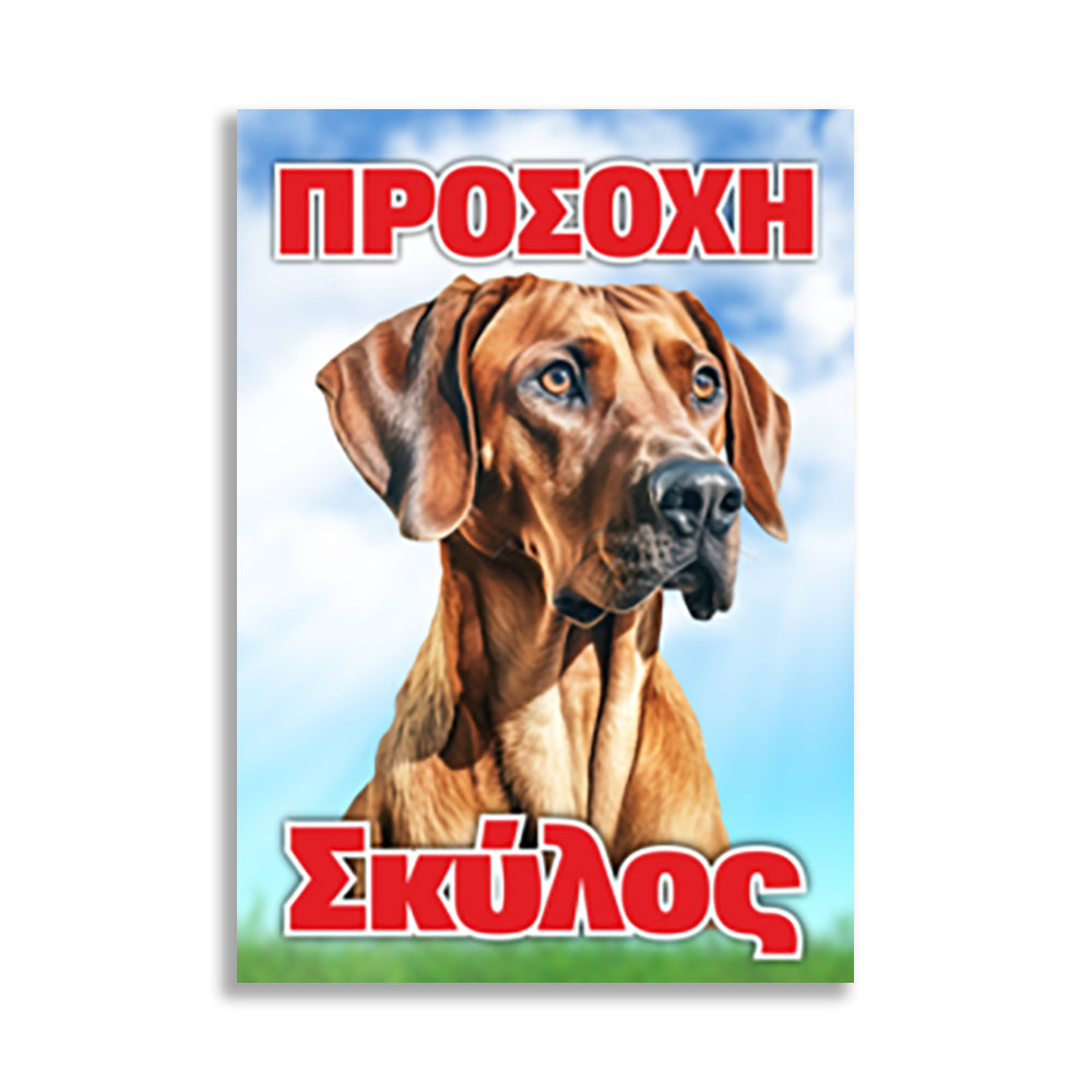 Πινακίδα Σήμανσης PVC "Προσοχή Σκύλος" (Vizsla) 200mm x 300mm