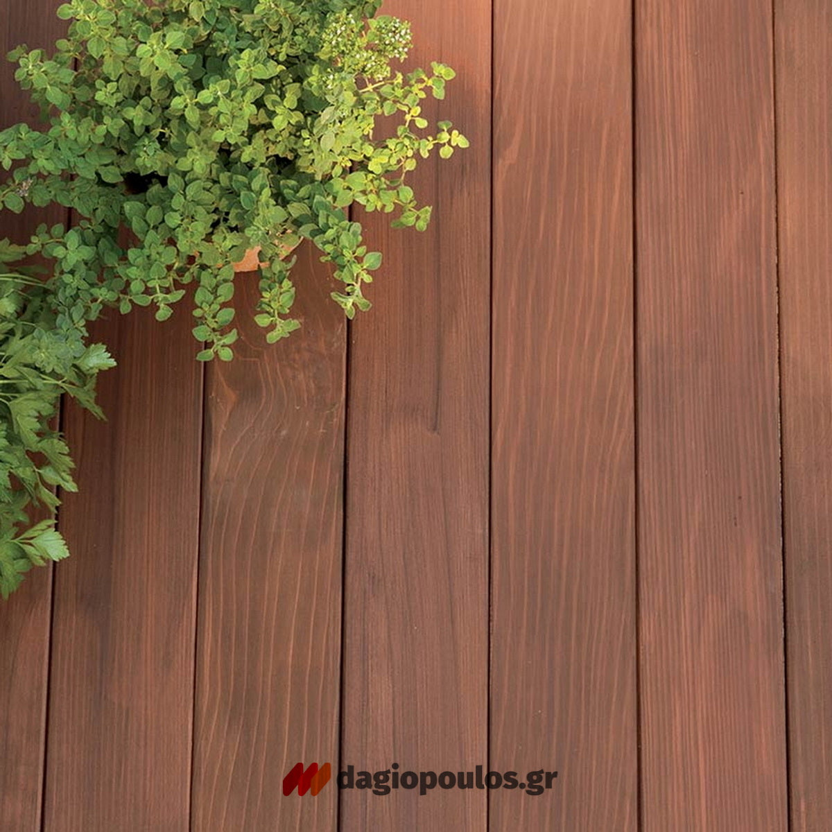 Erlac Aqua Deck Oil Λάδι Συντήρησης & Προστασίας Decks & Δαπέδων Κήπου Νερού Ματ