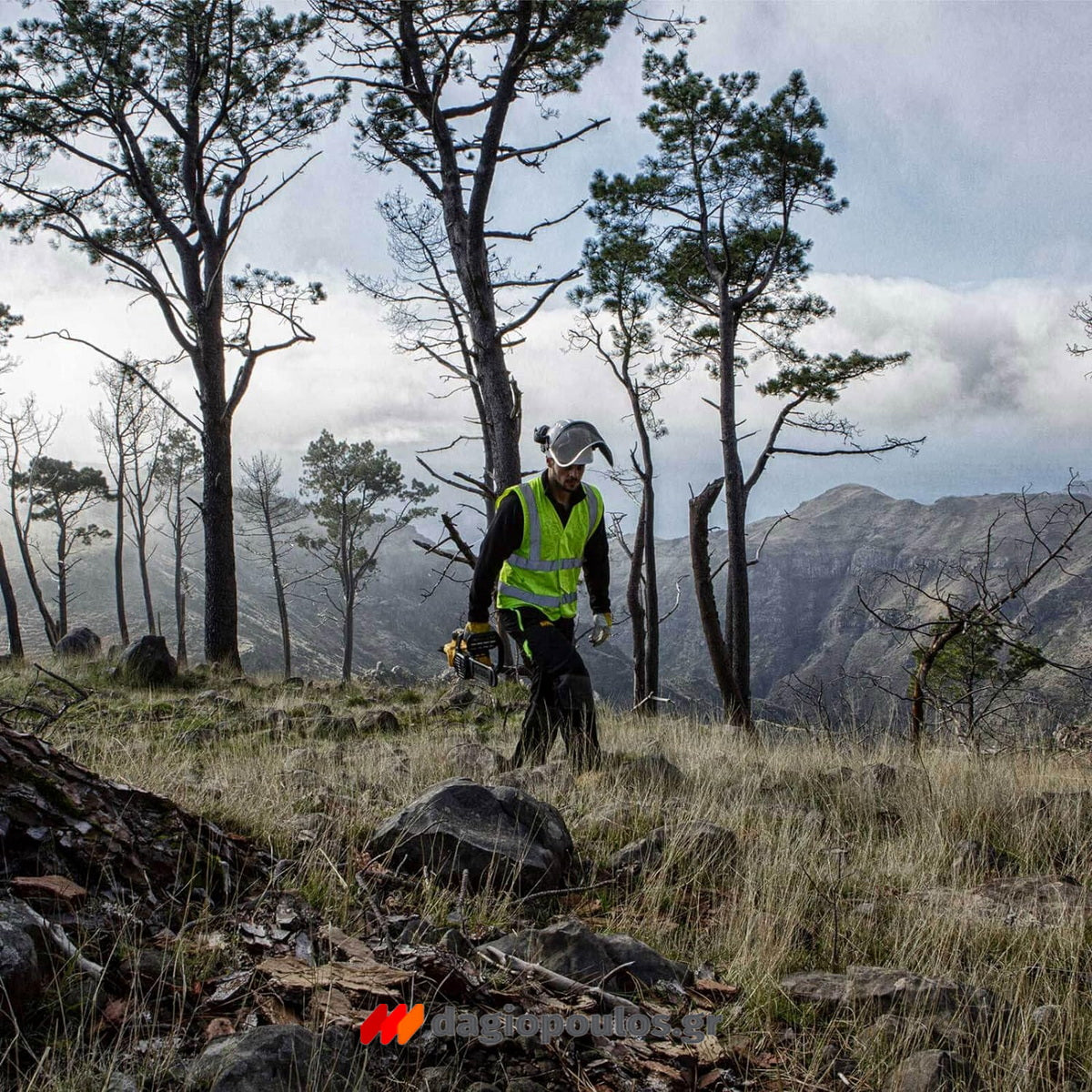 DeWalt DCM565N-XJ Brushless Αλυσοπρίονο Μπαταρίας 18V Li-Ion SOLO