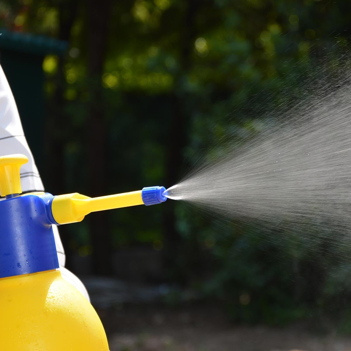 Di Martino Thema M 4002 Ψεκαστήρας Προ πιέσεως 2lt