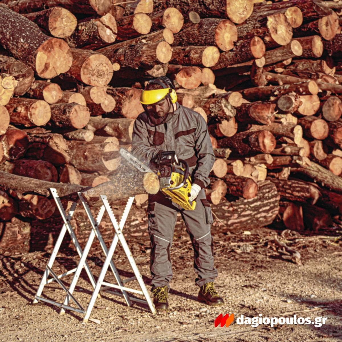 FF Group GCS 246 PLUS 45558 Αλυσοπρίονο Βενζίνης 46.0cc 2.4Hp Λάμα 45cm