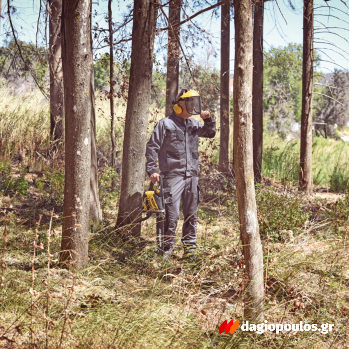 FF Group GCS 441 PRO 46058 Αλυσοπρίονο Βενζίνης 41.1cc 2.5hp Λάμα 30cm