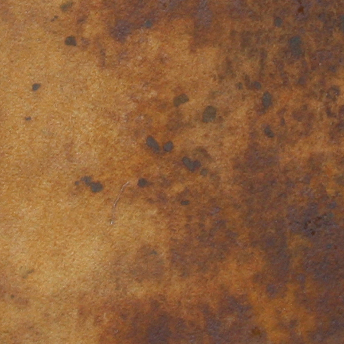 Fleur Ενεργοποιητής Σκουριάς Σιδήρου REAGENT