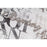 Ταπετσαρία Τοίχου Europa PP71755-14 1.06m x 10.05m | Dagiopoulos.gr