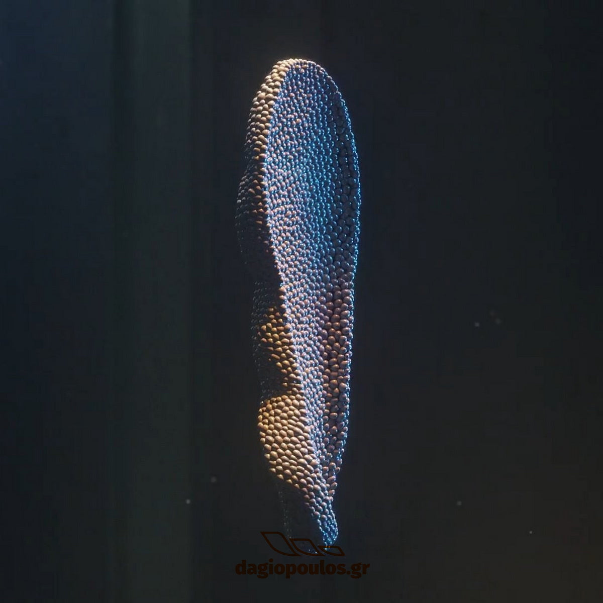 SIR Safety Snake RESPONDER MB3016 Παπούτσια Ασφαλείας Ημιμποτάκια Με Προστασία