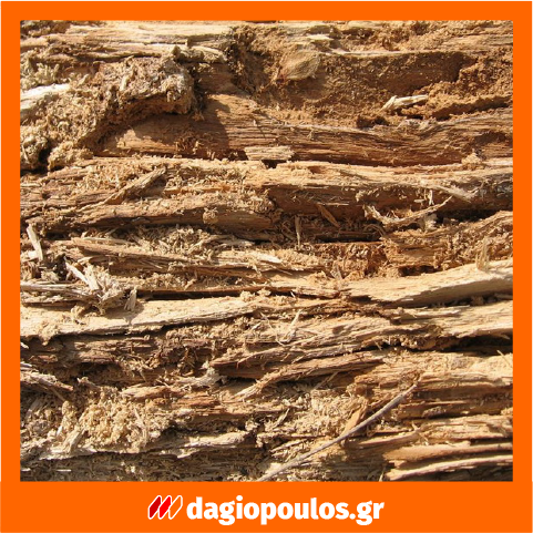 Ecolkem Complet Antitarlo Εντομοκτόνο Μυκητοκτόνο Προληπτικό Θεραπευτικό Άοσμο Προστατευτικό Ξύλου Νερού 400ml (SPRAY)