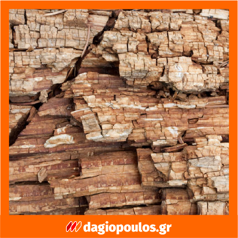 Ecolkem Complet Antitarlo Εντομοκτόνο Μυκητοκτόνο Προληπτικό Θεραπευτικό Άοσμο Προστατευτικό Ξύλου Νερού