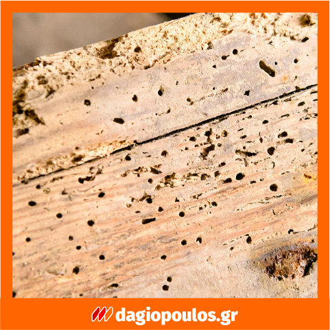 Ecolkem Complet Antitarlo Εντομοκτόνο Μυκητοκτόνο Προληπτικό Θεραπευτικό Άοσμο Προστατευτικό Ξύλου Νερού 400ml (SPRAY)