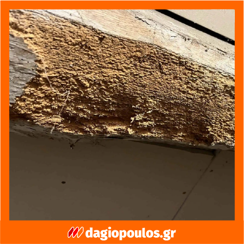 Ecolkem Complet Antitarlo Εντομοκτόνο Μυκητοκτόνο Προληπτικό Θεραπευτικό Άοσμο Προστατευτικό Ξύλου Νερού