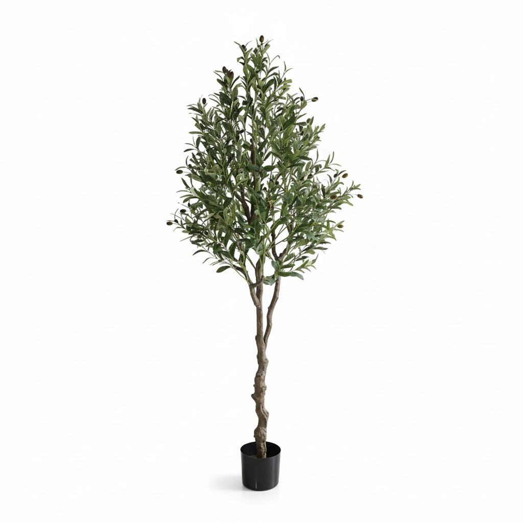 Τεχνητό Φυτό Olive Tree NP410 180cm