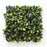 Πάνελ Φυλλωσιάς A017 Photinia Berlin 50x50cm | dagiopoulos.gr