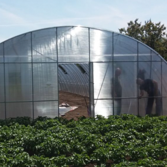 HPX All Weather Tape tape Επισκευής & Θερμοκηπίων 48mmx5mtr ΔΙΑΦΑΝΗΣ