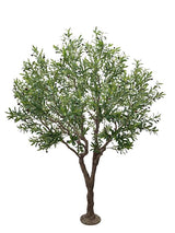 Τεχνητό Φυτό Olive Tree NP496 Ύψος 240cm