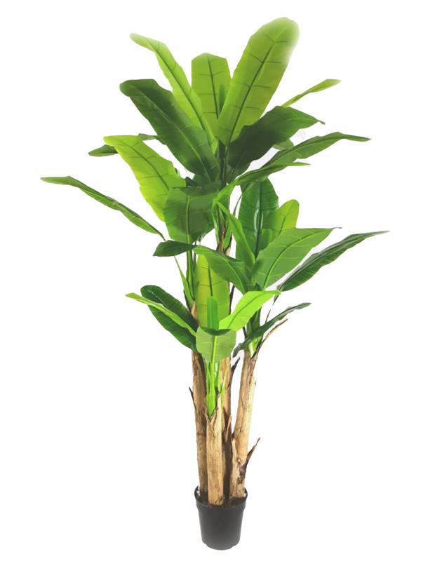 Τεχνητό Φυτό Banana NP018 280cm