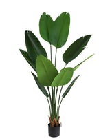 Τεχνητό Φυτό Bird of paradise NP717 160cm