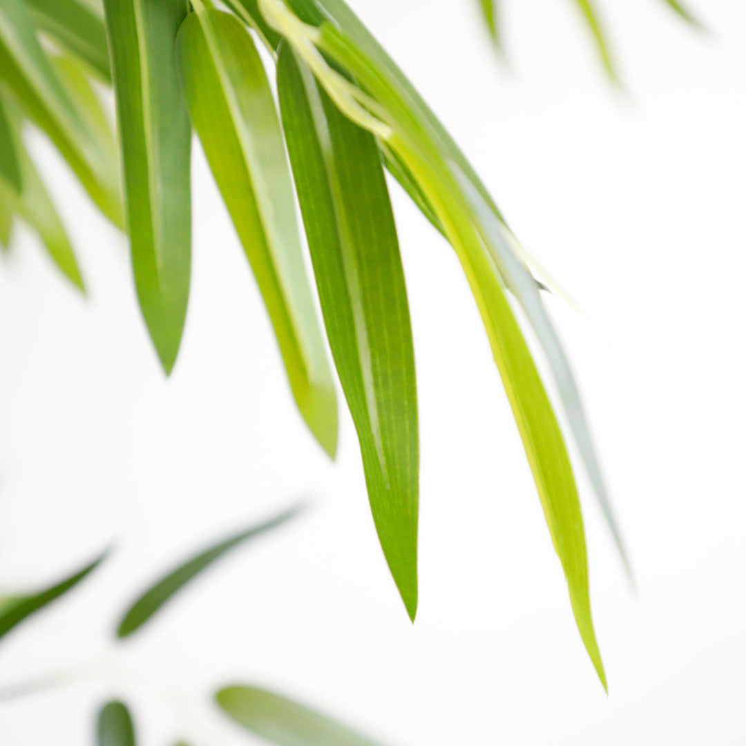 Τεχνητό Φυτό BAMBOO NP0076 210cm