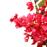 Τεχνητό Φυτό Bougainvillea NP0421 210cm