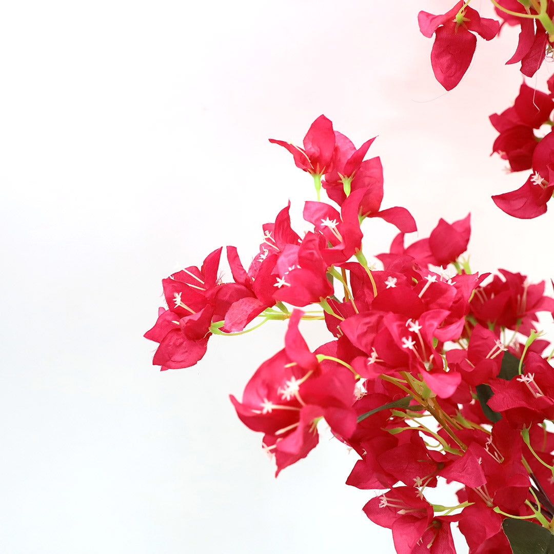 Τεχνητό Φυτό Bougainvillea NP0422 170cm
