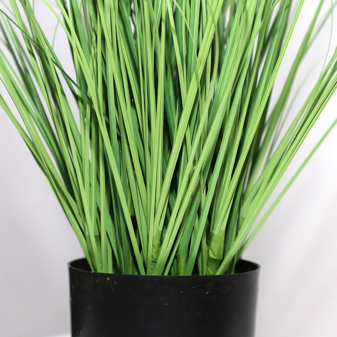 Τεχνητό Φυτό Onion Grass Tree NP1009 60cm