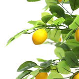 Τεχνητό Φυτό Lemon Tree NP30 170cm
