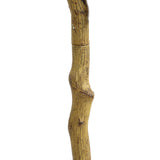 Τεχνητό Φυτό Lemon Tree NP30 170cm