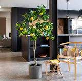 Τεχνητό Φυτό Lemon Tree NP30 170cm