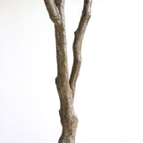 Τεχνητό Φυτό Olive Tree NP410 180cm