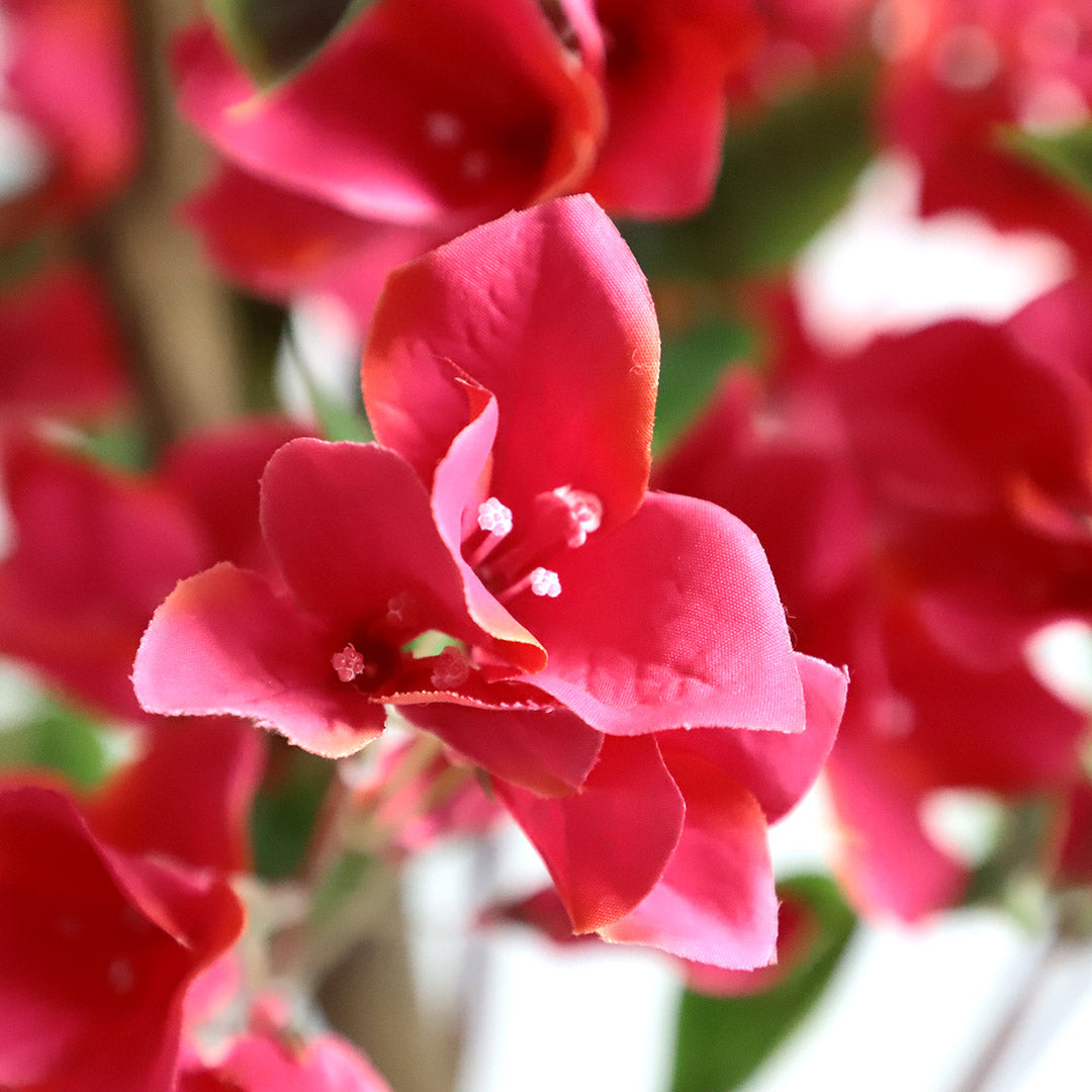 Τεχνητό Φυτό Bougainvillea NP70  120cm
