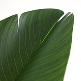 Τεχνητό Φυτό Bird of paradise NP717 160cm