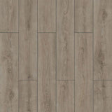 Floorpan Wings 007 PARROT Δάπεδο Laminate AC5/33 4V 8mm