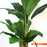 Τεχνητό Φυτό Banana NP703 160cm | Dagiopoulos.gr