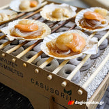 CasusGrill Οικολογική Βιοδιασπώμενη Ψησταριά ΒΒQ Μιάς Χρήσης