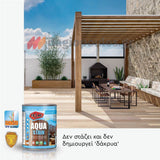 Erlac Aqua Stain Άοσμο Υδατοδιαλυτό Βερνίκι Εμποτισμού Ξύλου Ματ 2009 Παλίσανδρος