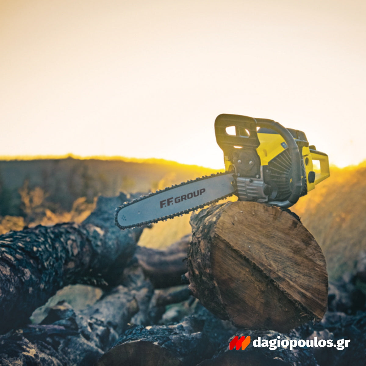 FF Group GCS 450D PRO 46059 Αλυσοπρίονο Βενζίνης 50.9cc 3.0hp Λάμα 45cm