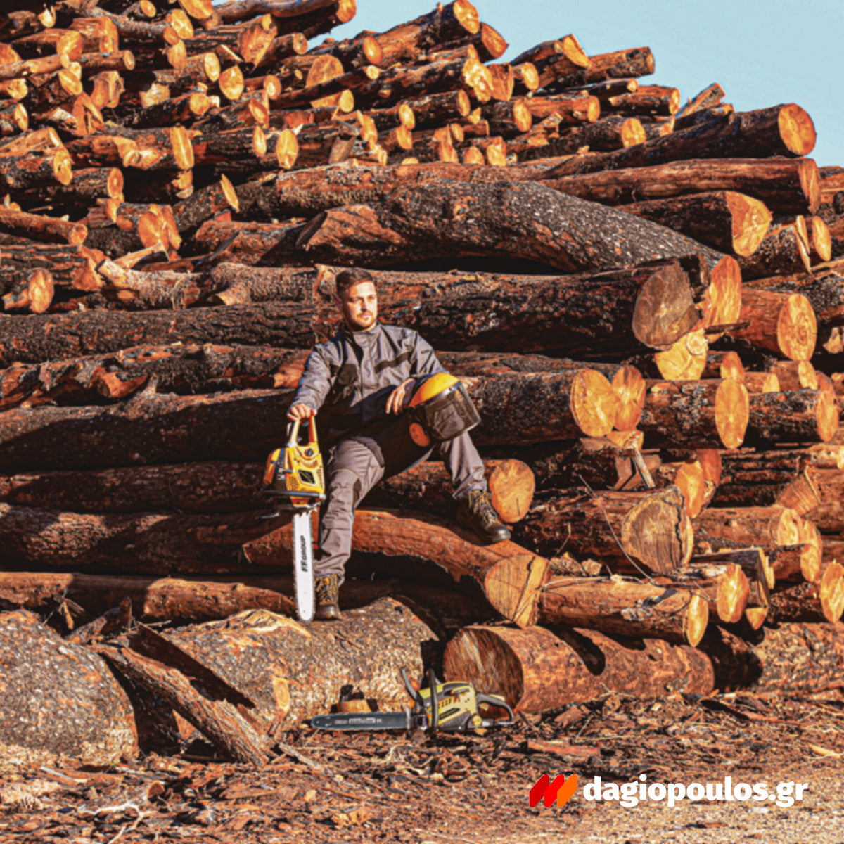 FF GCS 241 PLUS 45557 Αλυσοπρίονο Βενζίνης 41.0cc 1.9hp Λάμα 40cm