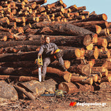 FF GCS 241 PLUS 45557 Αλυσοπρίονο Βενζίνης 41.0cc 1.9hp Λάμα 40cm