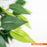 Τεχνητό Φυτό Fikos NP5209 180cm | Dagiopoulos.gr