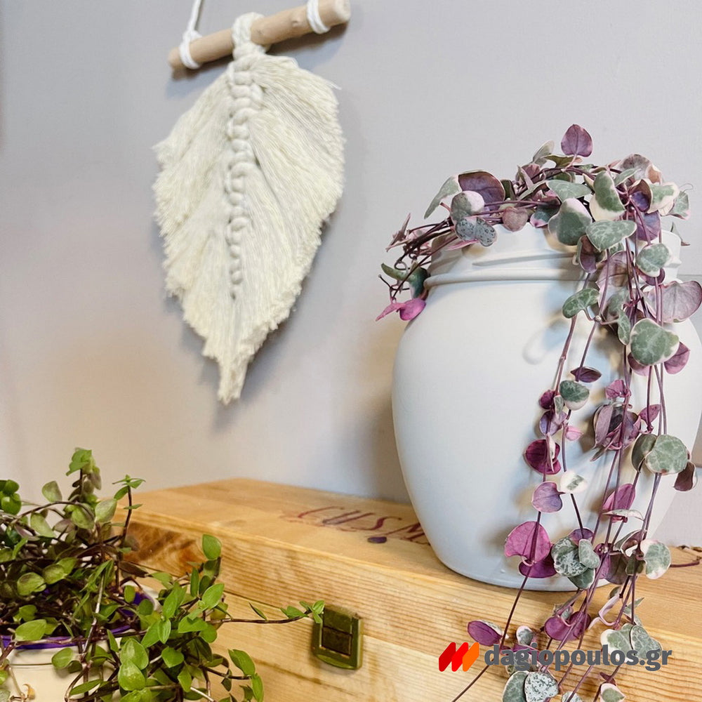 Fleur Chalky Look Spray Σπρέι Κιμωλίας Άοσμο Νερού Ματ F11 Greige