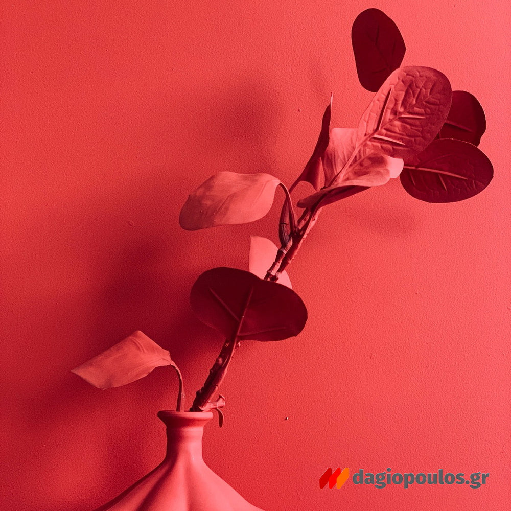 Fleur Chalky Look Spray Σπρέι Κιμωλίας Άοσμο Νερού Ματ F27 Tomato Red